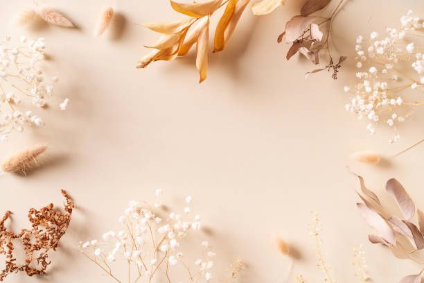 Hierba natural seca, hojas y flores belleza y maqueta de concepto de moda - foto de stock