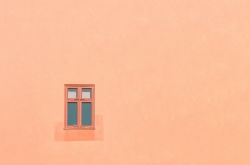 color del año 2024, peach fuzz
